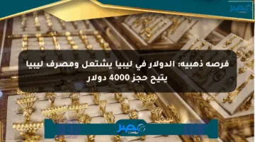 فرصة ذهبية: الدولار في ليبيا يشتعل ومصرف ليبيا يتيح حجز 4000 دولار